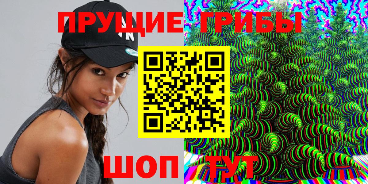 Псилоцибиновые грибы ЛСД  Вход с VPN  Великий Новгород  где продают наркотики  Галлюциногенные грибы Psilocybe 