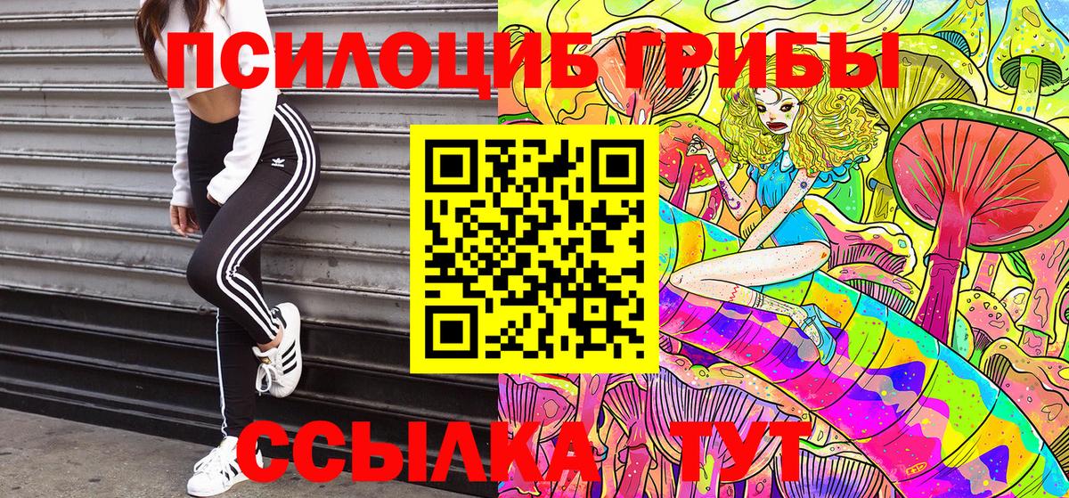 Галлюциногенные грибы мухоморы Великий Новгород